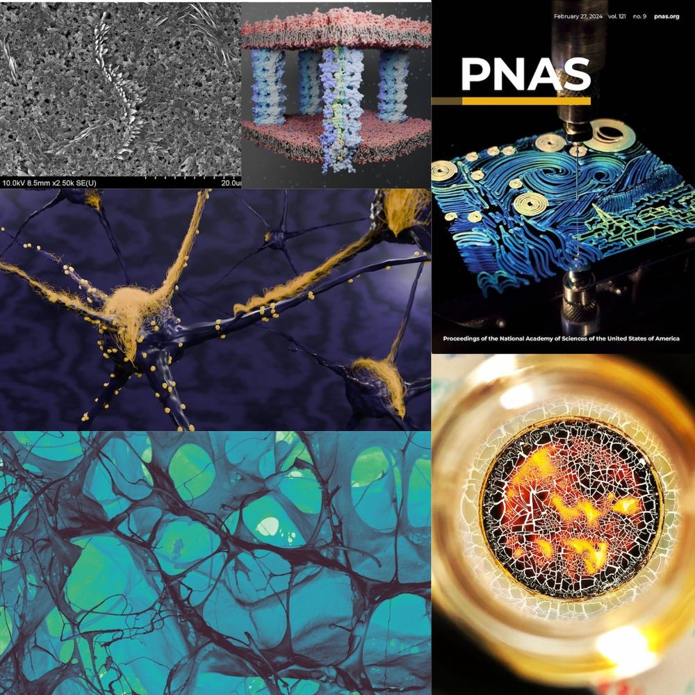 Collage of several images. One is a gray and black image captured from a microscope that looks like a ridge coming out of water, another is digitally rendered with pink squares on either end of four blue pillars, one in each corner. Another is a PNAS or Polymer National Academy of Science cover with an image of a 3-d printer making a copy of the Starry Night. Another image is one taken down the neck of a test tube, with orange, black and red cracks along the bottom. Another image is digitally rendered of a mostly blue connection of several nodes, with yellow furry texture growing and spreading between them. Lastly, there is an image of blue tissues layered on top of one another. 