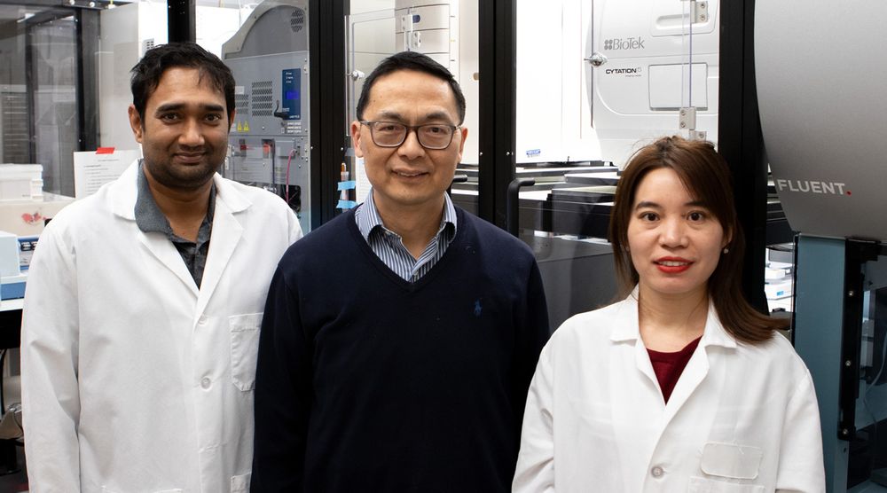 Nilmani Singh, Huimin Zhao, and Yuije Yuan stand in a line smiling for the camera in a lab. 
