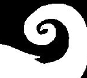 cropped image of one of the horns. there is a small dot near the point of the horn that looks like an eye.