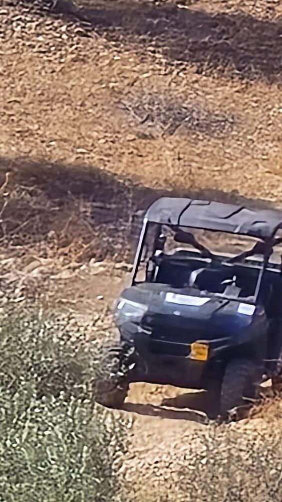 Photos show settlers and vehicles among olive trees, confronting farmers during harvest.
