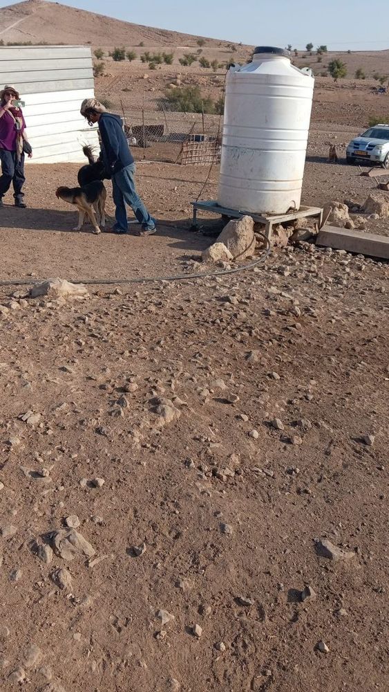 A man stands beside an attack dog near a large water tank in a dry Bedouin community, while another person films the scene as settlers enter the area.
