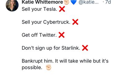 Screenshot of a social media post asking people to sell cyber truck, get off the birdie app and not sign up for starling, in order to bankrupt him, noting it will take a while but is possible.
