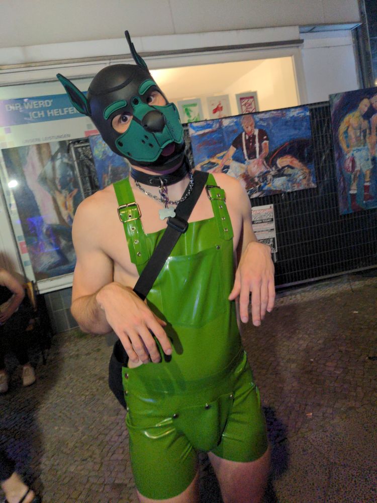 rubber dog on the street