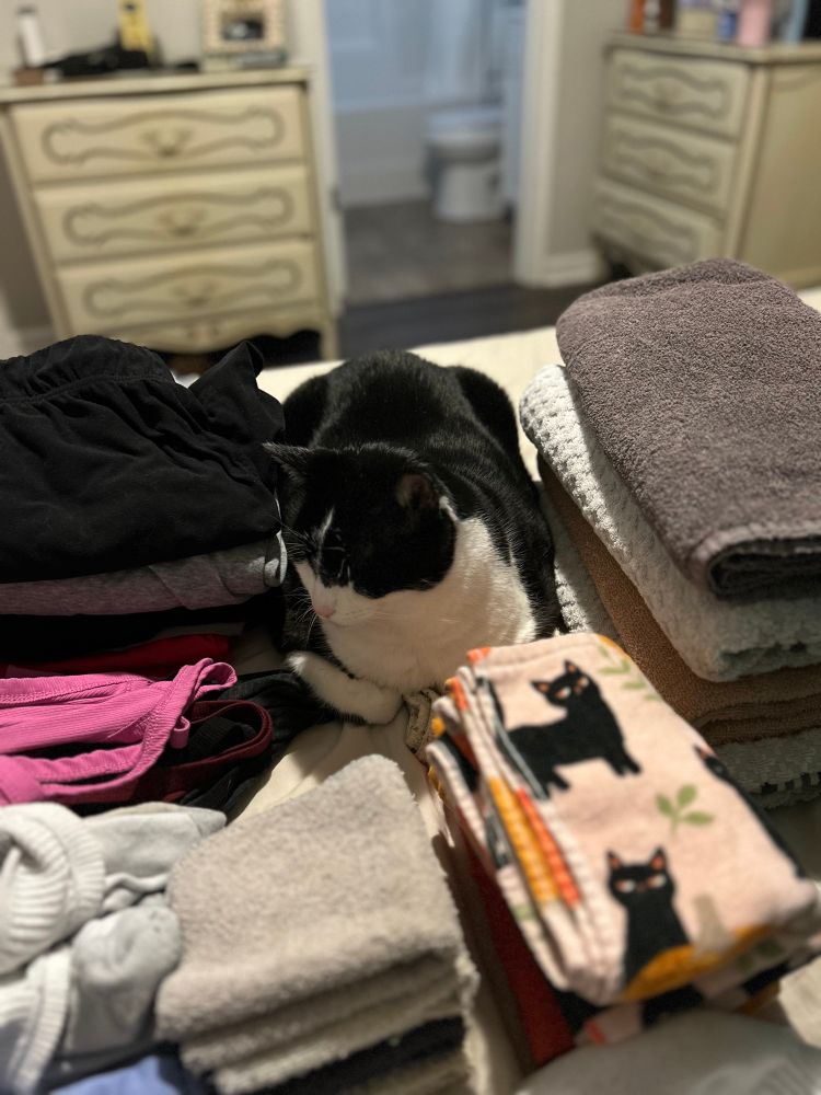 A black and white cat lays snugly among various folded stacks of laundry.