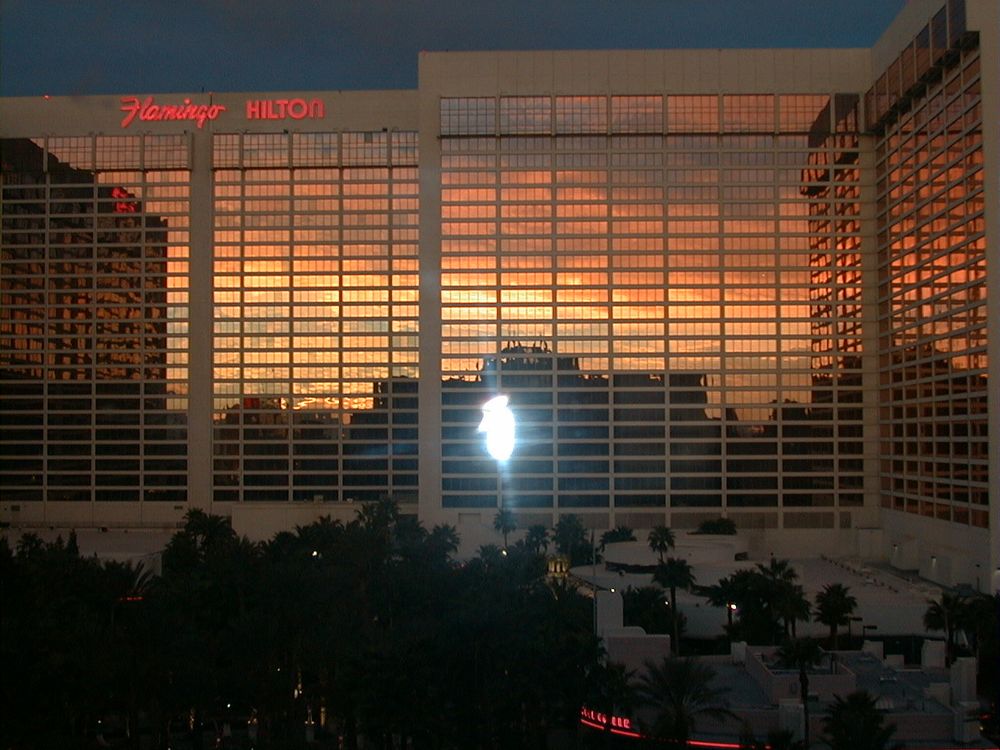 Reference photo for the Las Vegas Strip of The Flamingo