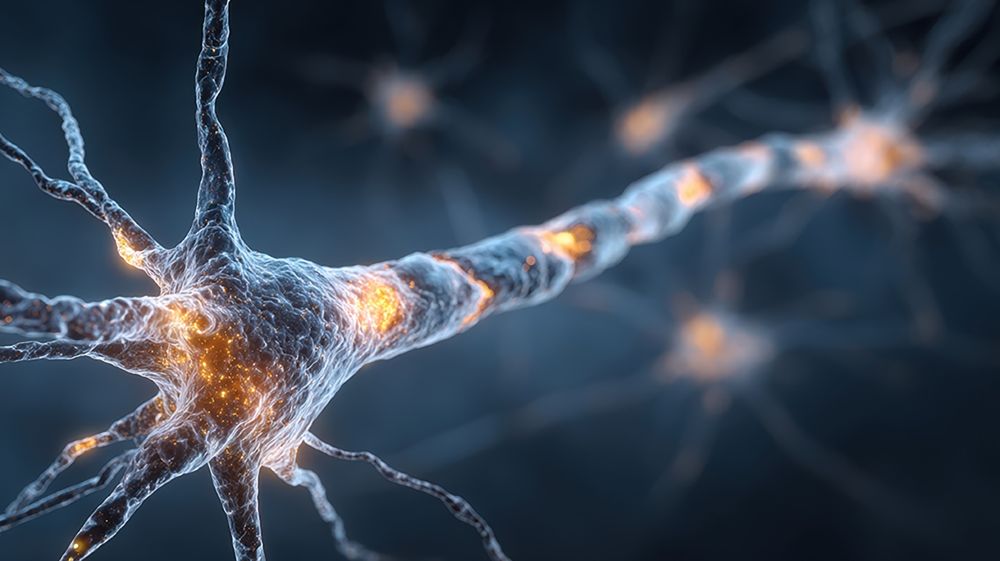 Dynamic neural pathway simulation with flashing white patches highlighting demyelination (Image Adobe Stock).
