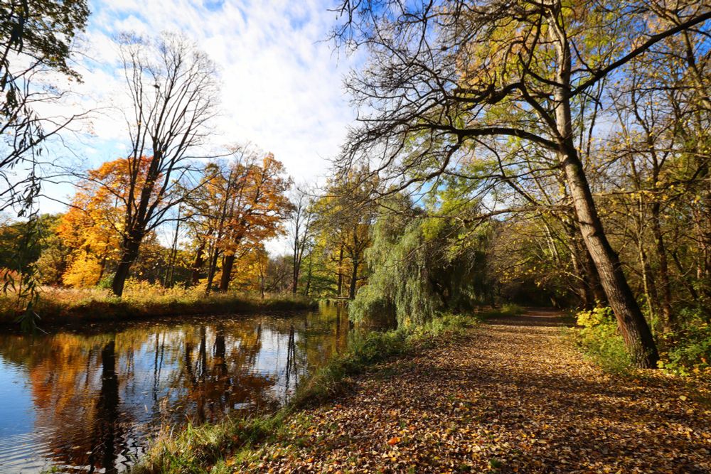 Jesienna aura w poznańskiej Dębinie