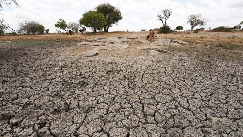 Planetary Health Check: Fünf Jahre für den gesunden Planeten