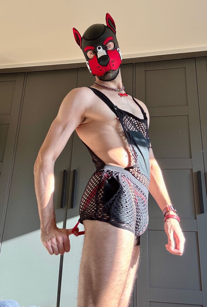 Puppy grabbing his jock