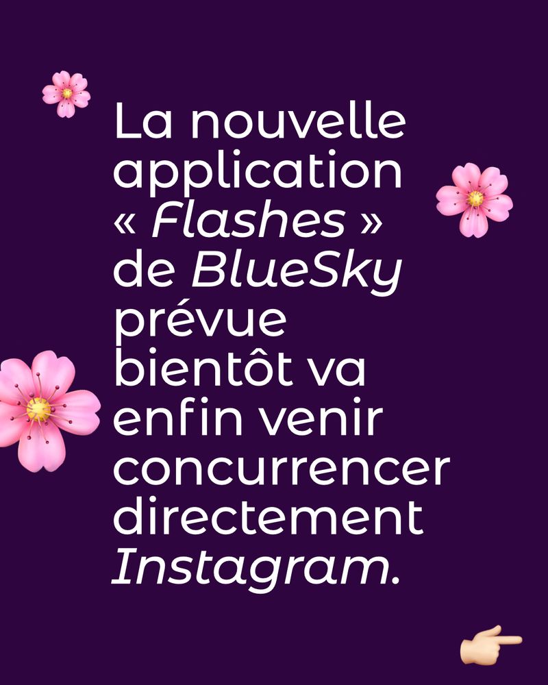 La nouvelle application « Flashes » de BlueSky prévue bientôt va enfin venir concurrencer directement Instagram.

À bientôt.

 BlueSky 

@lucy-CHLOE.bsky.social

@lucy-CHLOE-in-the-sky.bsky.social

 Mastodon 

@lucy_chloe@piaille.fr