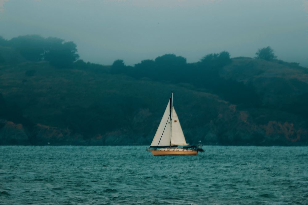 A yellow sailboat with white sails in San Francisco with foggy, tree-covered hills in the background.