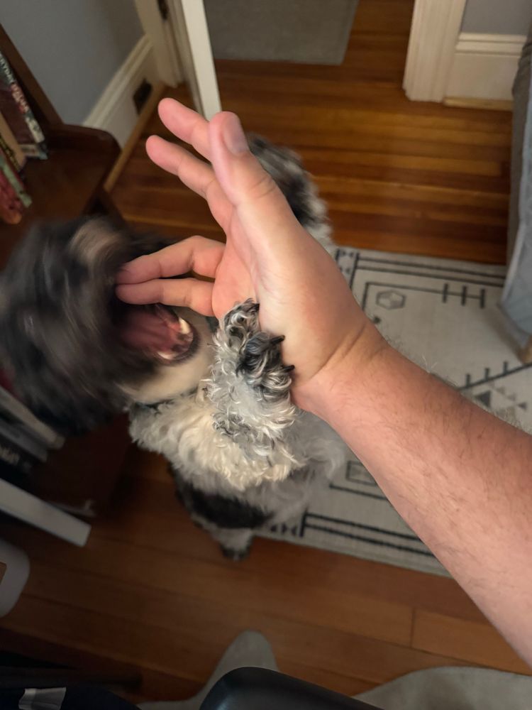 Pops biting my fingers