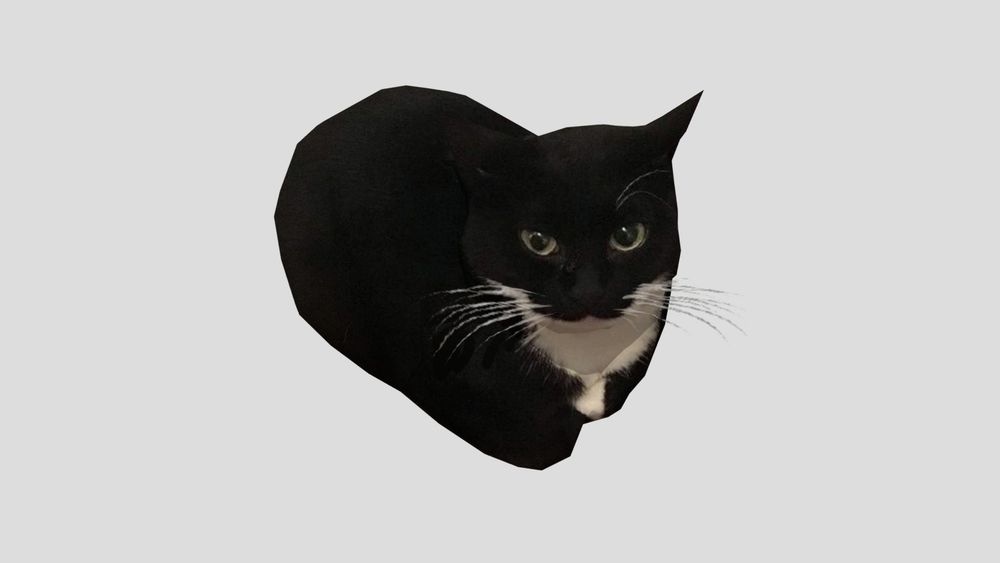 a picture of the "Maxwell the cat" 3D model
