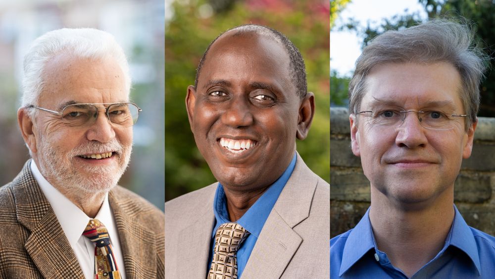 Collage of three faculty headshots. Left to right: Michael Brown, Abba Gumel and Christopher Reynolds.