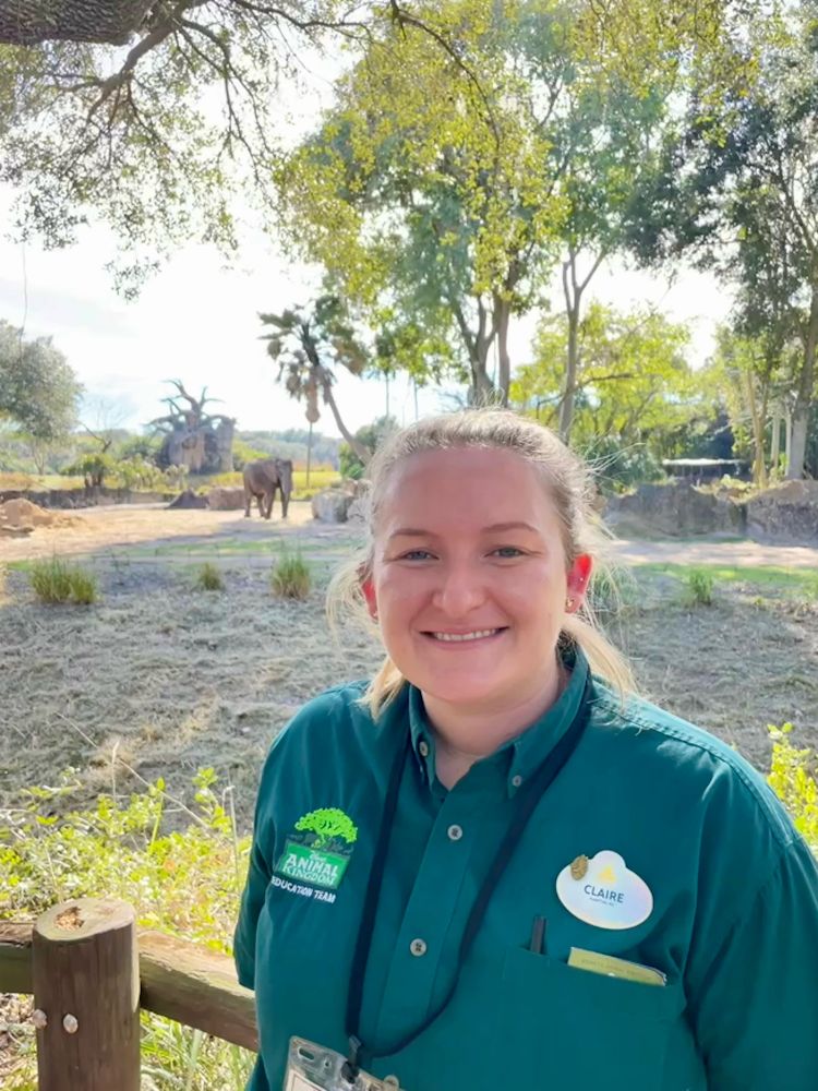 Claire Quinn wearing a green Animal Kingdom shirt standing in front of an elephant enclosure