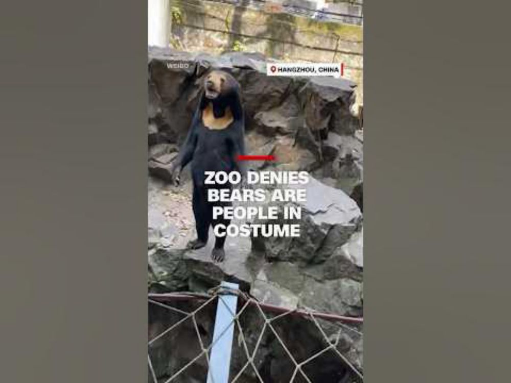 Zoo denies bears are people in costume