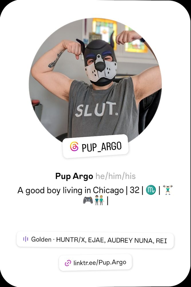 Instagram profile info for @pup_argo Pup Argo he/him/his A good boy living in Chicago | 32 | ♏ | 🏋🏻‍♂️🎮👨🏻‍🤝‍👨🏼 | 