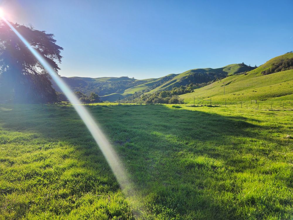 Green hills and a sun flare