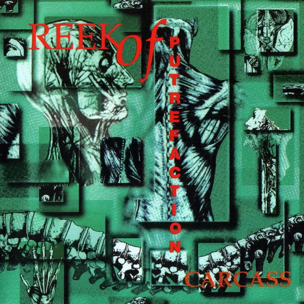 Album cover for Reek of Putrefaction by Carcass