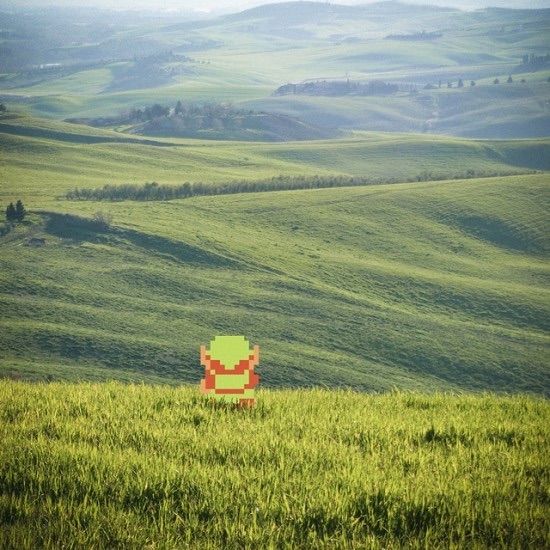 link in a beautiful field