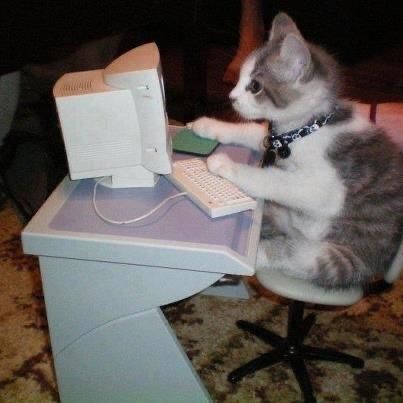an image of a small grey and white kitten sitting at a miniature desk and using a mini computer. the kitten appears to be focused on the screen (the cat is also on a miniature desk chair).