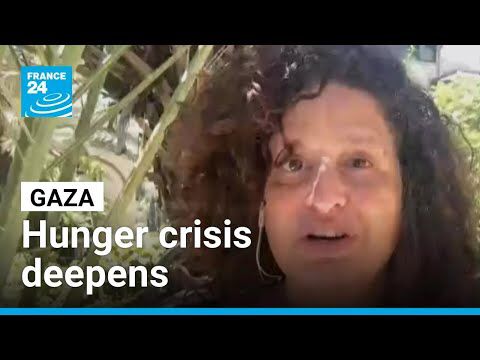 More than 100 aid groups warn 'mass starvation' spreading across Gaza • FRANCE 24 English