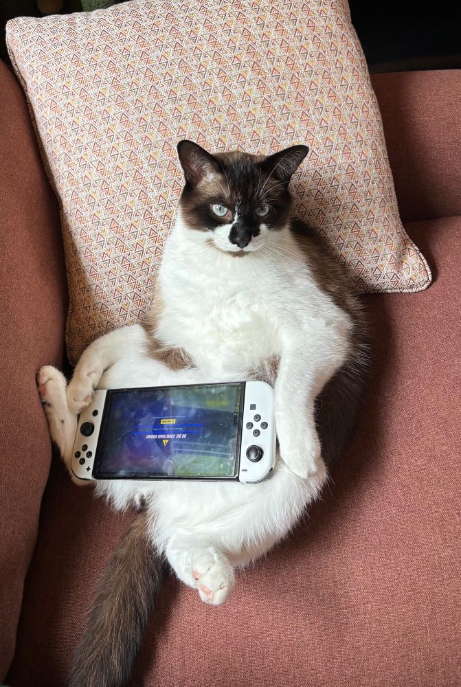 A brown and white cat laying on his back with a white Nintendo Switch laying on his tummy