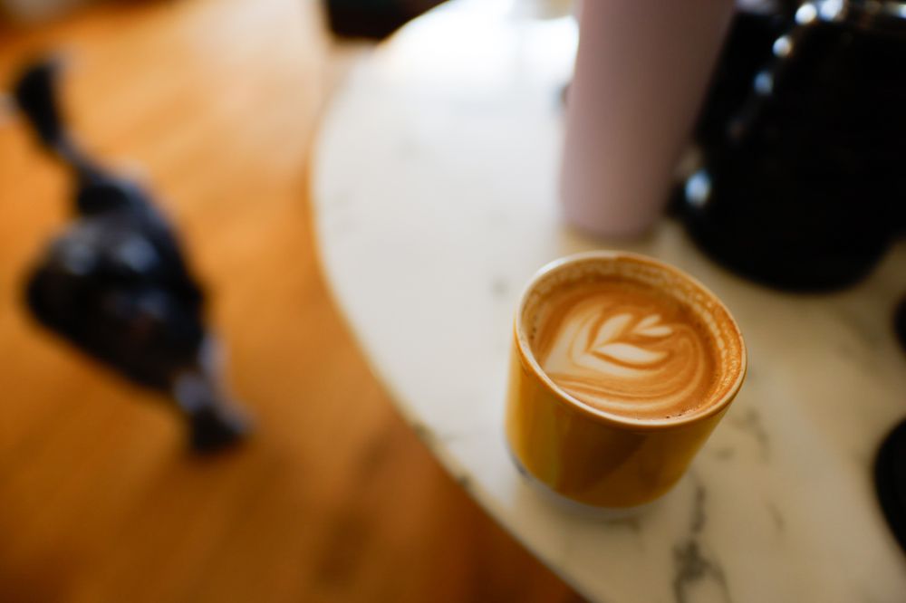 coffee and a dog 