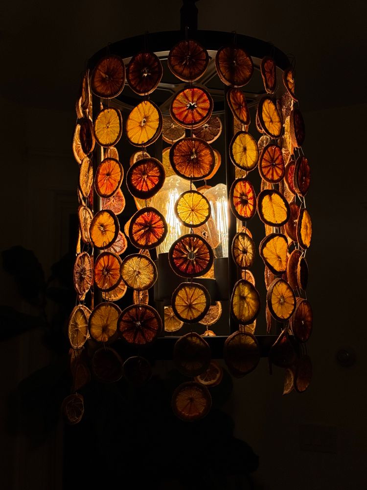 Dried oranges in varying colors as a chandelier over a bright light. 