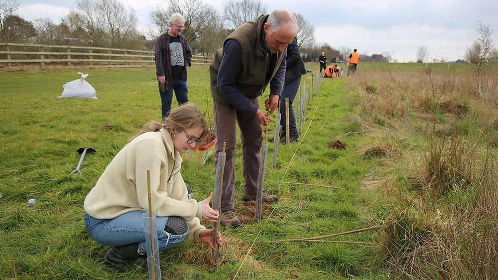 Students in a field planting trees