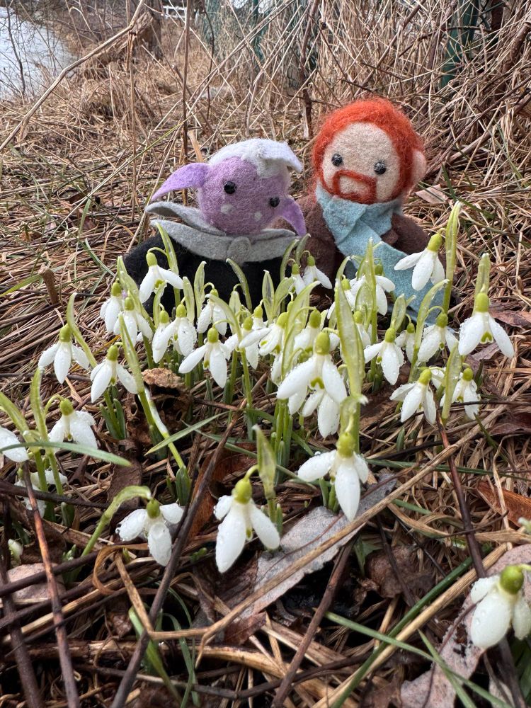 small felted toys of Essek Thelyss and Caleb Widogast from Critical Role stand behind a patch of snowdrops. Essek seems very focussed on the flowers, while Caleb is looking at Essek instead. 
