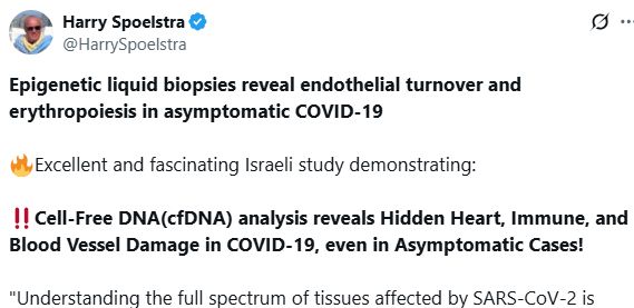Epigenetic liquid biopsies reveal endothelial turnover and erythropoiesis in asymptomatic COVID-19

🔥Excellent and fascinating Israeli study demonstrating:

‼️Cell-Free DNA(cfDNA) analysis reveals Hidden Heart, Immune, and Blood Vessel Damage in COVID-19, even in Asymptomatic Cases!

"Understanding the full spectrum of tissues affected by SARS-CoV-2 is crucial for deciphering the heterogeneous clinical course of COVID-19. We analyzed DNA methylation and histone modifications in circulating chromatin to assess cell type–specific turnover in patients ranging from asymptomatic to severe cases, in relation to clinical outcomes."

➡️Cell-free DNA (cfDNA) analysis acts like a non-invasive biopsy, showing how cells in organs die and work. In COVID-19, it revealed:
1. Heart cell death in hospitalized patients,
2. Links higher cfDNA levels to worse disease and outperforms typical tests.
3. It predicts worsening conditions from immune and lung/vessel cell damage,
4. Detects strong immune responses, and
5. finds hidden red blood cell and blood vessel issues in mild or symptom-free cases.

➡️These findings suggest COVID-19 disrupts blood cell production and vessel health, even in mild/asymptomatic cases, which might be connected to long COVID risks.

“In summary, epigenetic liquid biopsies open a noninvasive window into tissue dynamics in patients with COVID-19, including subclinical damage and dynamic processes that cannot be assessed via existing biomarkers. Further studies of patients with long COVID will reveal the prognostic and diagnostic utility of cell-free DNA and chromatin in this disease.”
https://life-science-alliance.org/content/8/10/e202503417