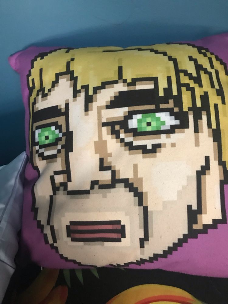 Pardo pillow I cuddle with besides the body pillow