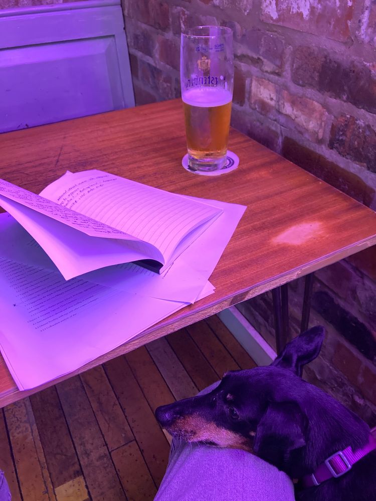 Papers and a notebook next to a pint of superior Germanic lager on a pub table.