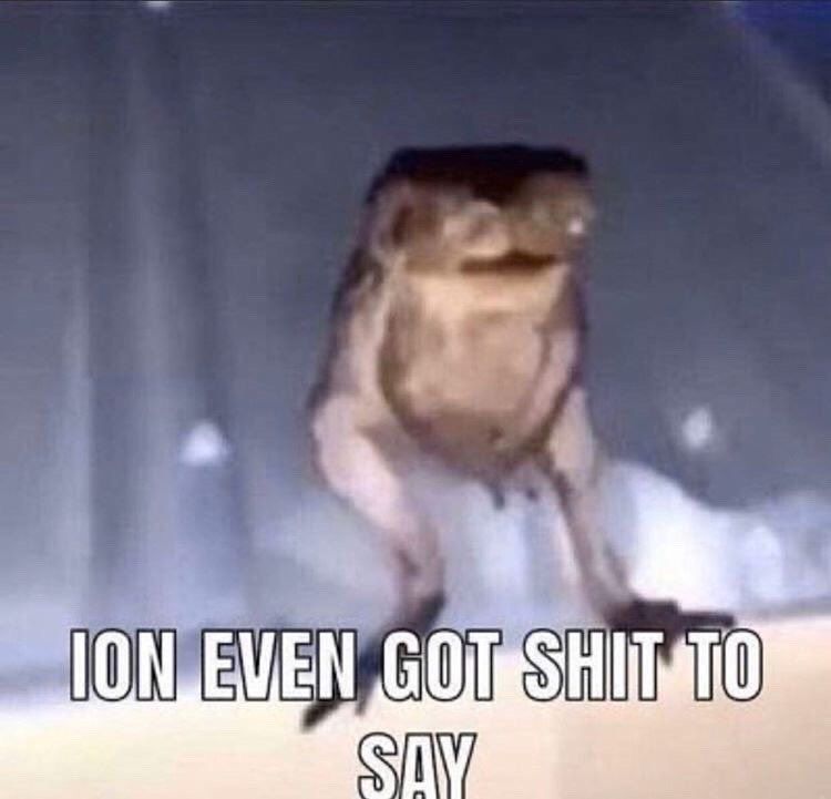 meme of a frog on a roof with caption "ion even got shit to say"