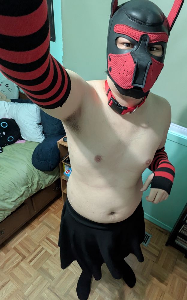 Me in a pup hood, collar, skirt, arm warmers and thigh highs 