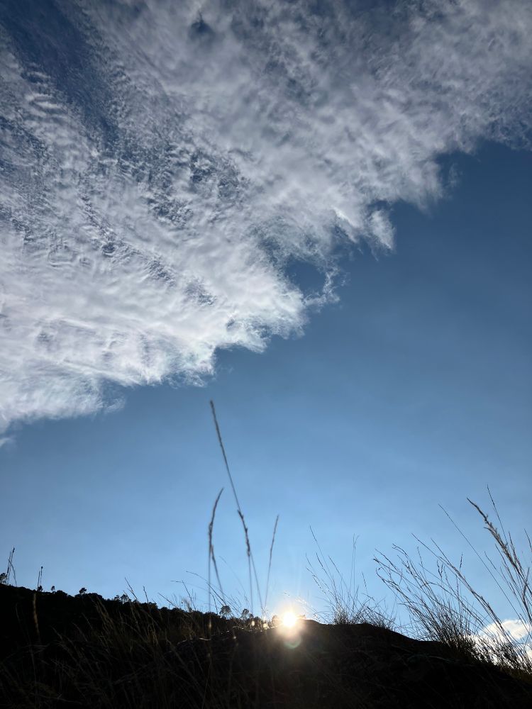 Soleil couchant encore bien jaune sur une crête avec des herbes folles, dans l’ombre, ciel bleu et nuages blancs 
