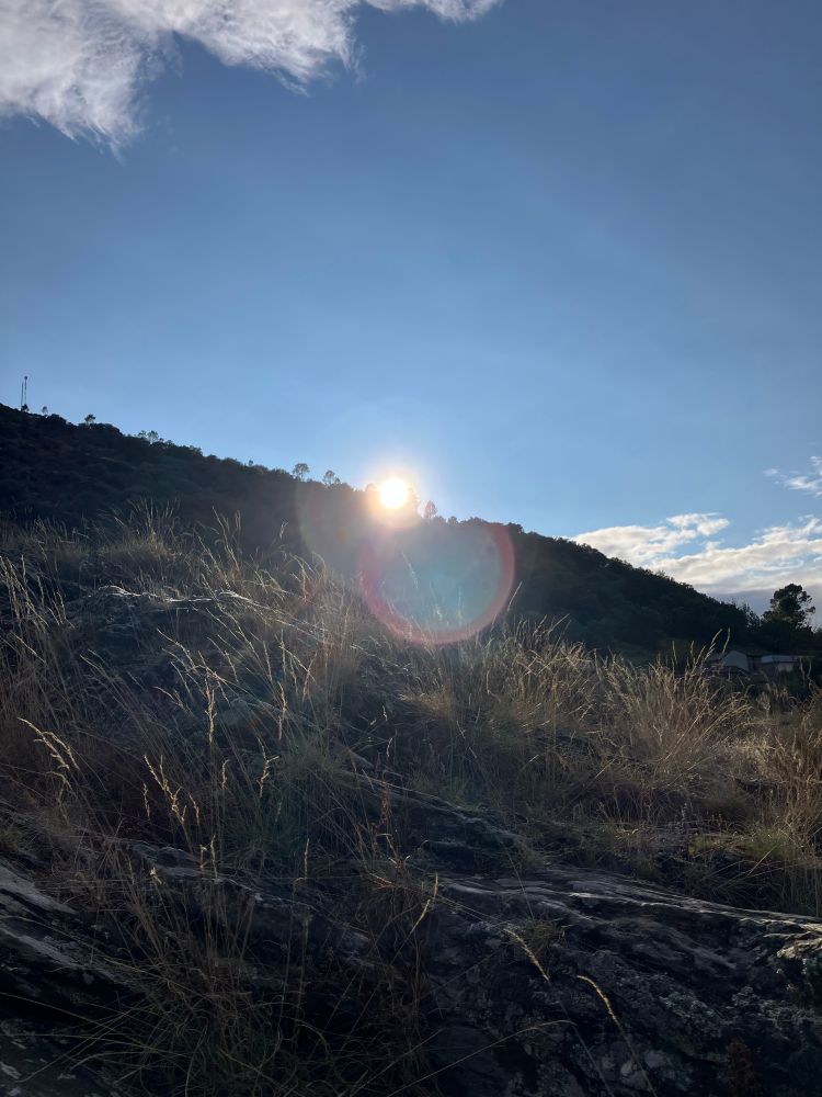 Jute avant le coucher de soleil sur la crête avec un reflet circulaire coloré 