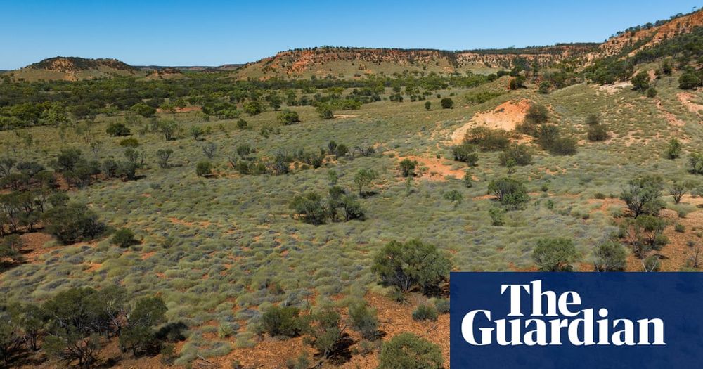 300,000ha Queensland cattle station bought for conservation after $21m donation