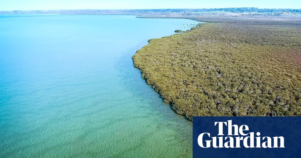 Tanya Plibersek blocks Victorian government’s plan to build wind turbine plant at Port of Hastings