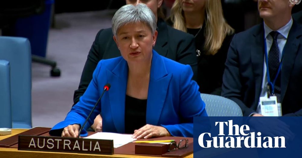 'The world demands a ceasefire in Gaza,' Australia's foreign minister Penny Wong tells UN – video