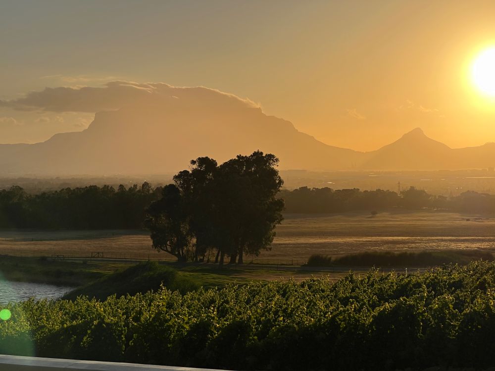 Table Mountain, Cape Town, ZA, at evening as seen from the De Grendel winery.