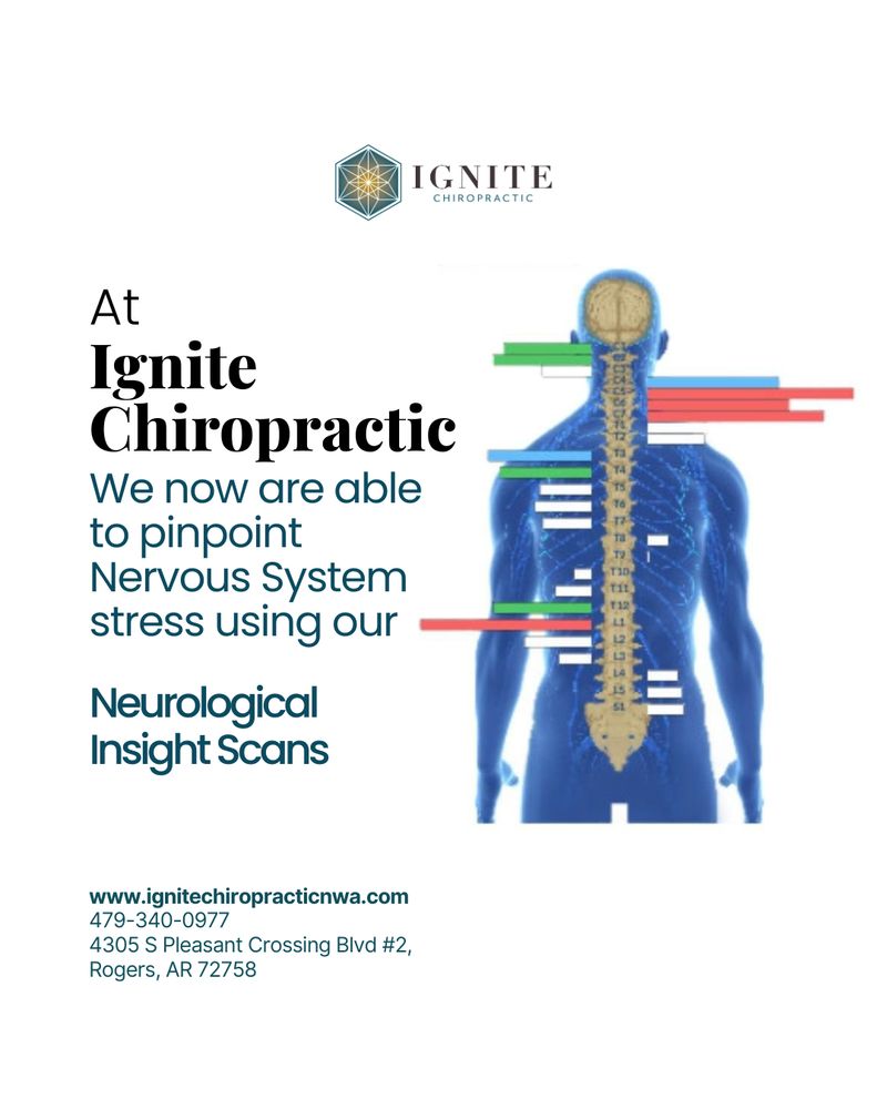 Image of a Neurological Insight Scan displayed on the right, showing detailed nervous system data. Text on the left reads: "At Ignite Chiropractic, we now are able to pinpoint nervous system stress using our Neurological Insight Scans." This innovative chiropractic technology helps detect nervous system imbalances and stress, allowing for targeted spinal care and improved patient wellness. Ideal for those seeking advanced nervous system assessment and personalized chiropractic treatment.