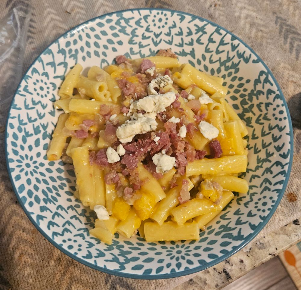 ziti with a sauce composed of mango, gorgonzola, red onion, and italian sausage. finished with more gorgonzola and pancetta. this is the weirdest thing I think I've ever cooked.