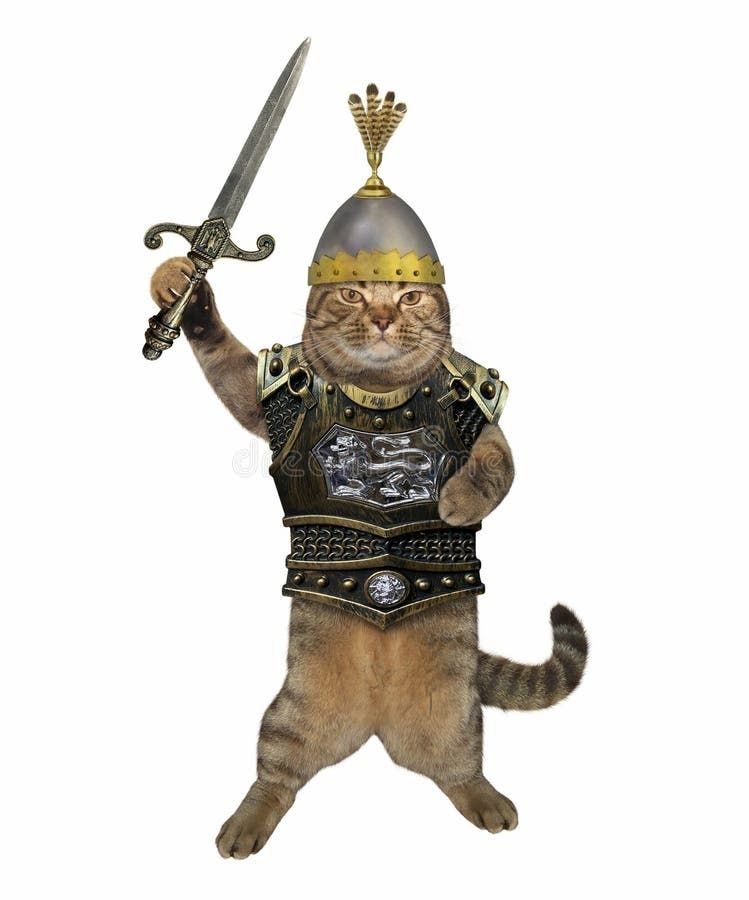 Medieval Knight cat with sword and armour