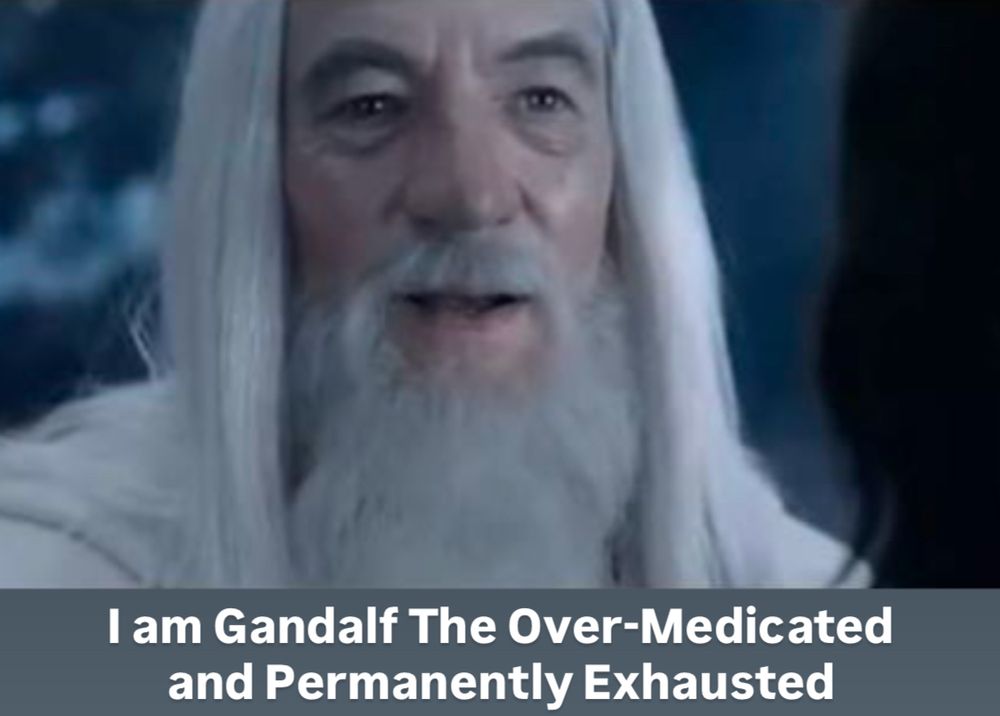 Ian McKellan as Gandalf the white, during the scene wherein he re encounters Aragorn, Gilmour and Legolas and introduces himself in his new form. 

It is captioned with 

‘I am Gandalf The Over-Medicated and Permanently Exhausted’
