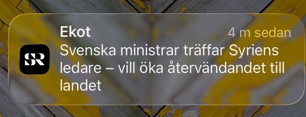 Skärmdump Ekot  om hur svenska ministrar åkt till Syrien med målet att öka återvändandet dit.