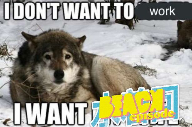A sad wolf sitting in a snowbank with the text "I don't want to work, I want Beach Episode", featuring the logo of Boston Blue Beat Beach Episode where you can still sign up for a spectator pass at start.gg/beach