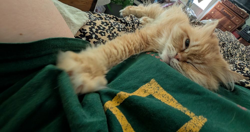 A ginger Persian lies beside her person in bed, resting her head on the woman's chest and kneading her armpit with one outstretched paw.