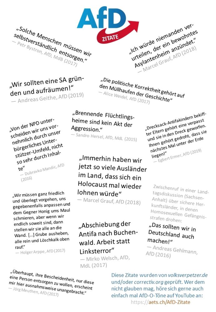Collage mit bedenklichen Aussagen der AfD